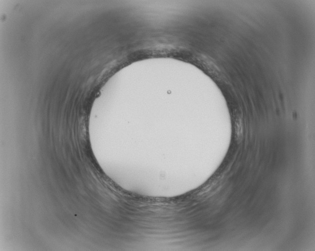 X0000061721204200512302111