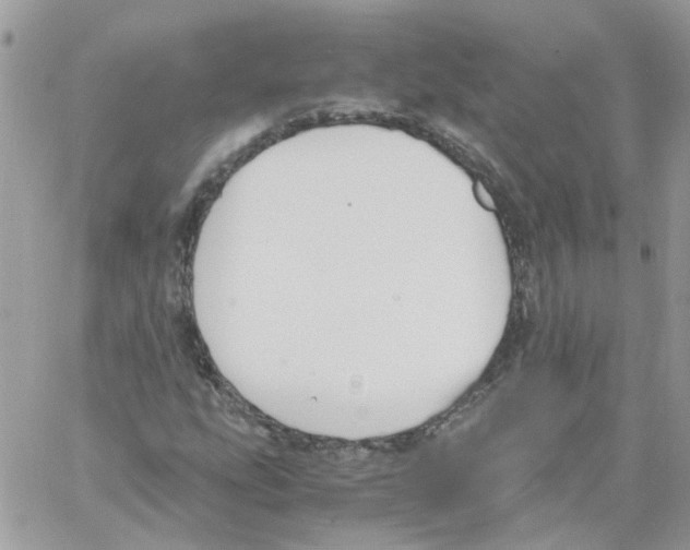 X0000061721207200512302111