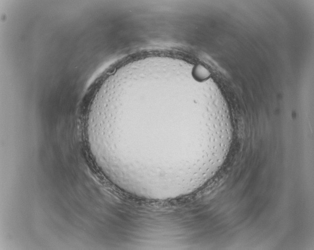 X0000061721208200512302111