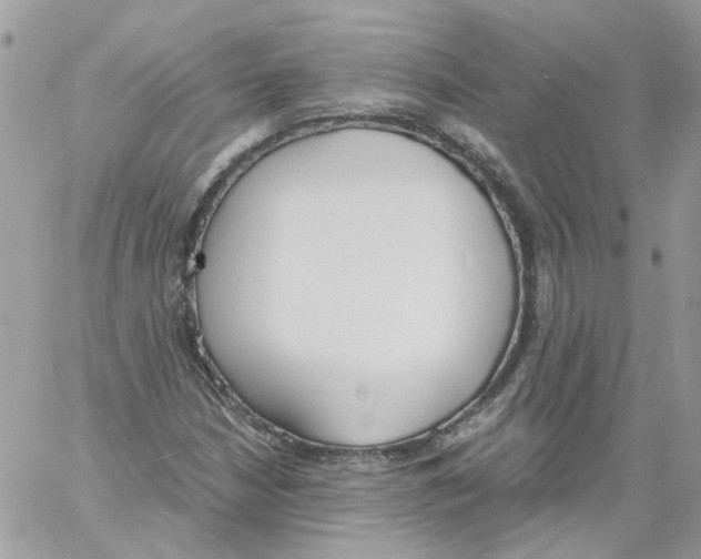 X0000061721210200512302111