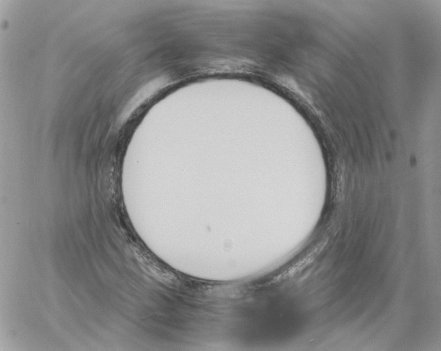 X0000061721211200512302111