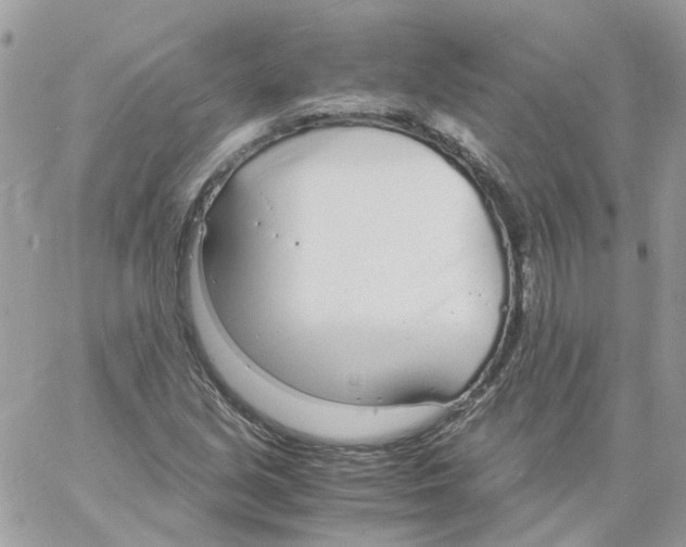 X0000061721213200512302111