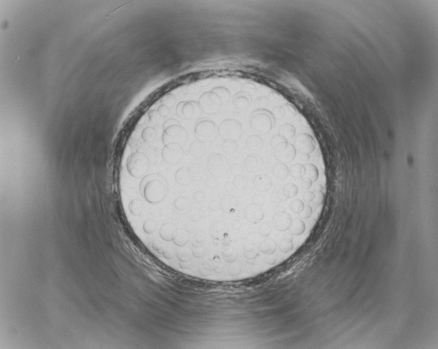 X0000061721216200512302111