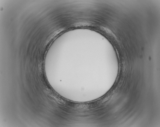 X0000061721217200512302111