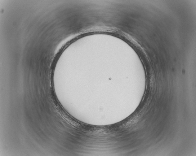 X0000061721222200512302111