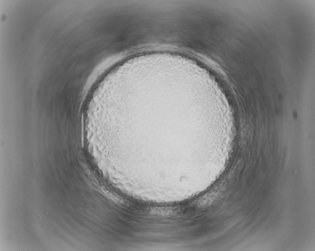 X0000061721223200512302111