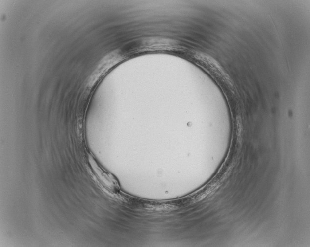 X0000061721225200512302111