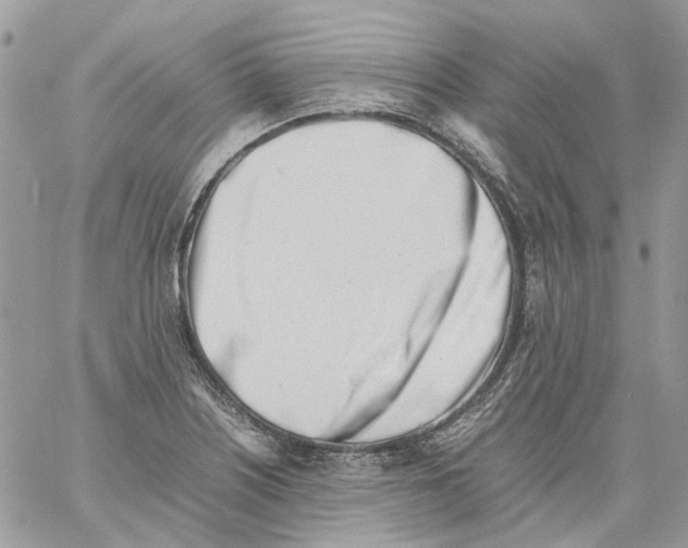 X0000061721226200512302111