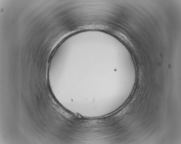 X0000061721228200512302111