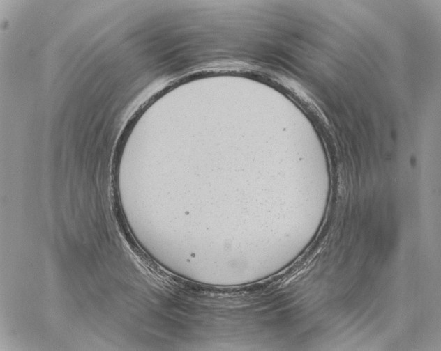 X0000061721229200512302111