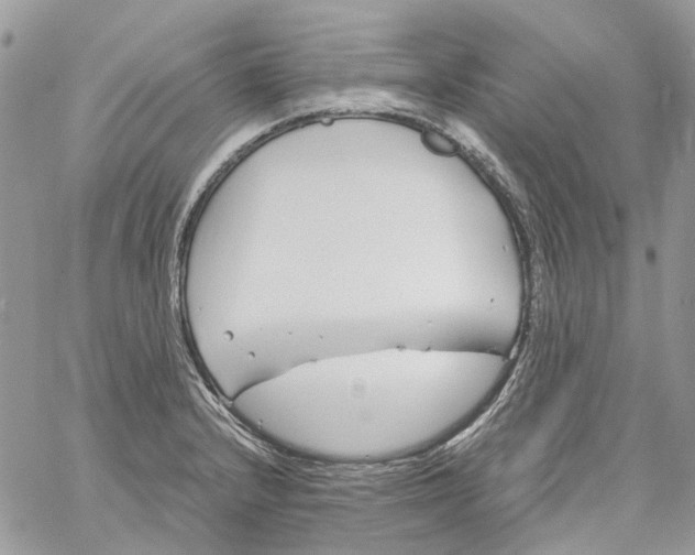 X0000061721232200512302111