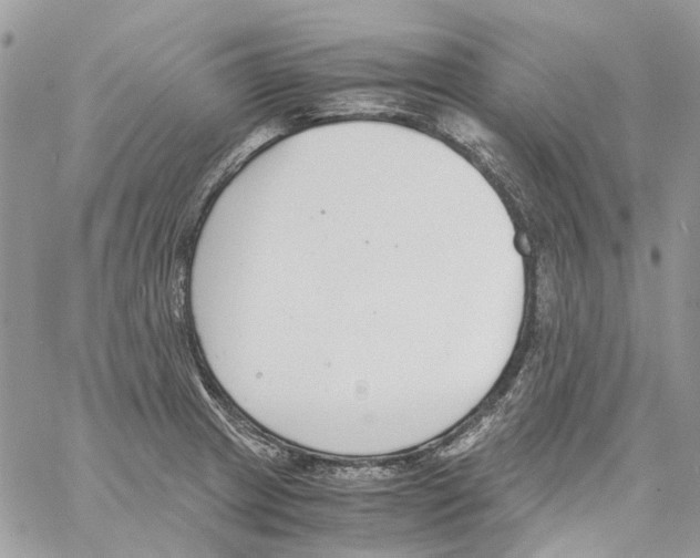 X0000061721233200512302111