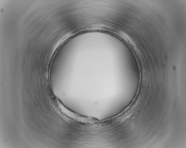 X0000061721234200512302111