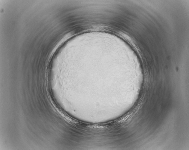 X0000061721235200512302111