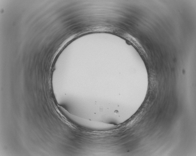 X0000061721236200512302111