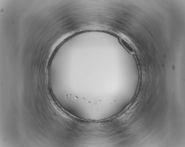 X0000061721238200512302111