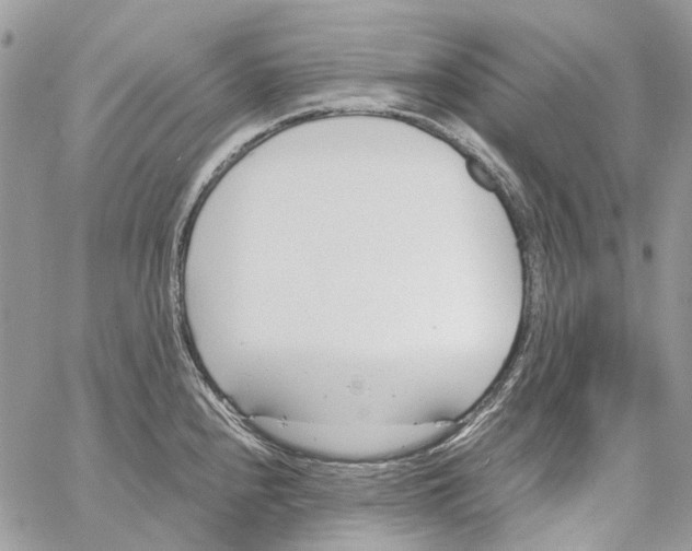 X0000061721240200512302111