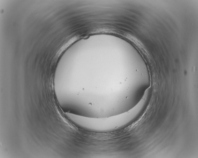 X0000061721241200512302111