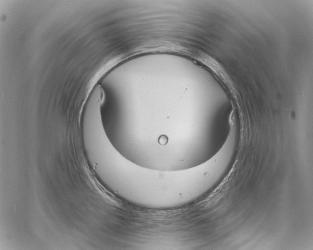 X0000061721242200512302111