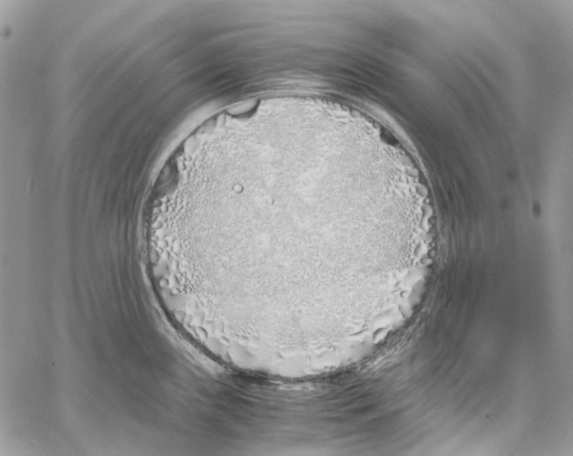 X0000061721243200512302111