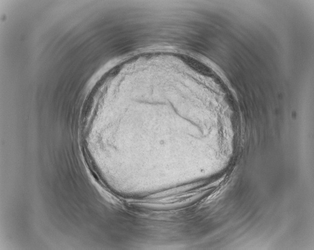 X0000061721245200512302111