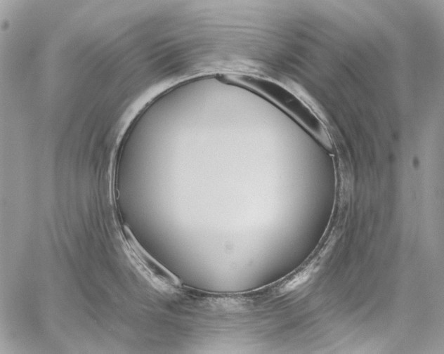 X0000061721246200512302111