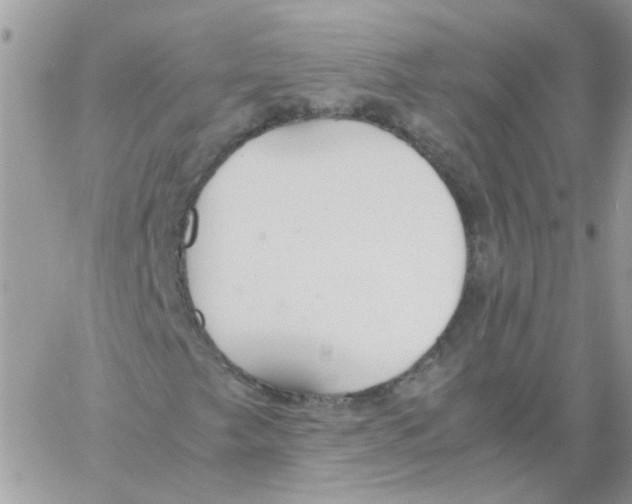 X0000061721249200512302111