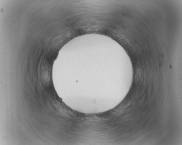 X0000061721250200512302111