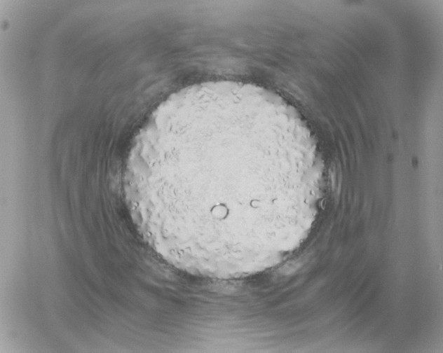 X0000061721251200512302111