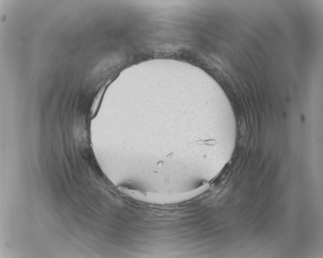 X0000061721252200512302111