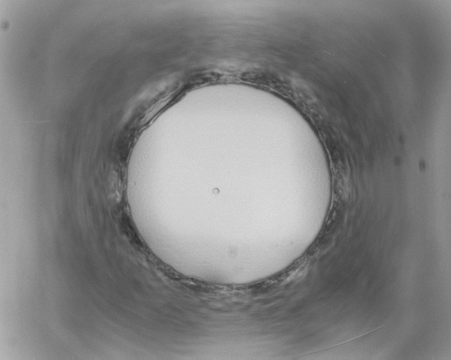 X0000061721253200512302111