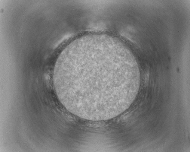 X0000061721254200512302111