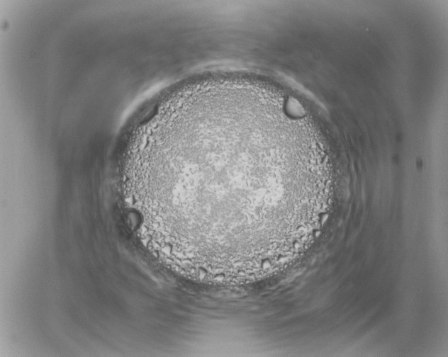 X0000061721255200512302111