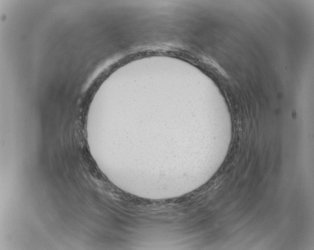 X0000061721256200512302111