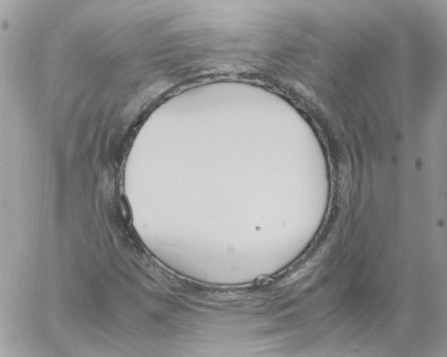 X0000061721257200512302111