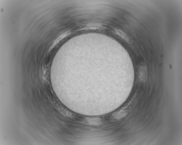 X0000061721258200512302111