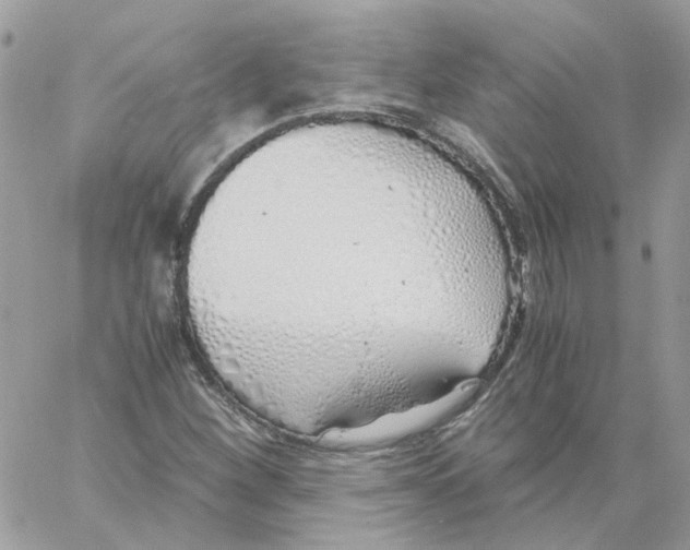 X0000061721260200512302110