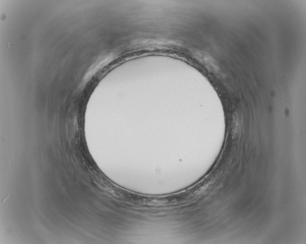 X0000061721261200512302110