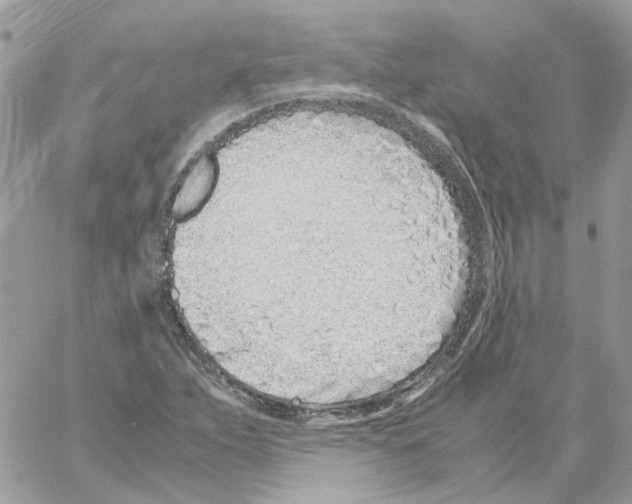 X0000061721263200512302110