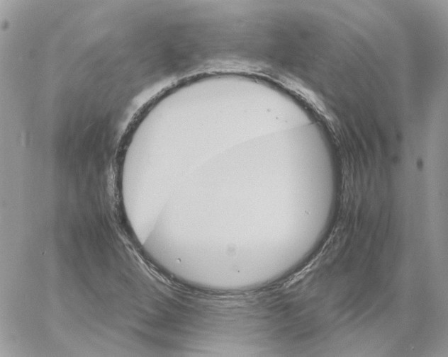 X0000061721264200512302110