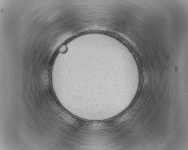 X0000061721266200512302110