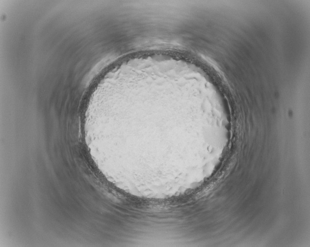 X0000061721267200512302110