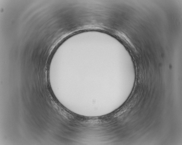 X0000061721268200512302110