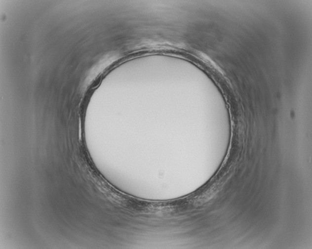 X0000061721269200512302110