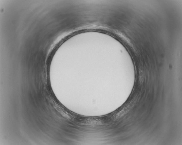 X0000061721270200512302110