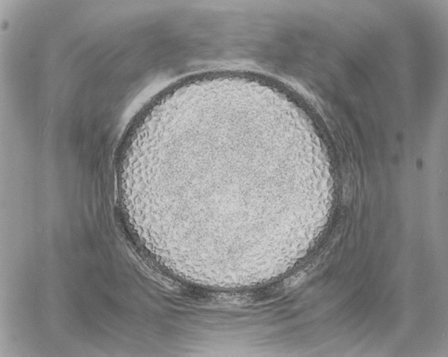 X0000061721271200512302110