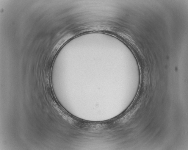 X0000061721273200512302110