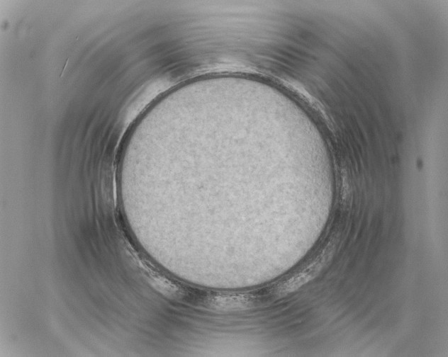 X0000061721274200512302110