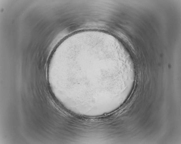 X0000061721275200512302110