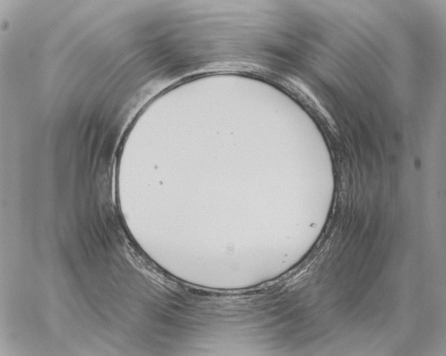 X0000061721276200512302110